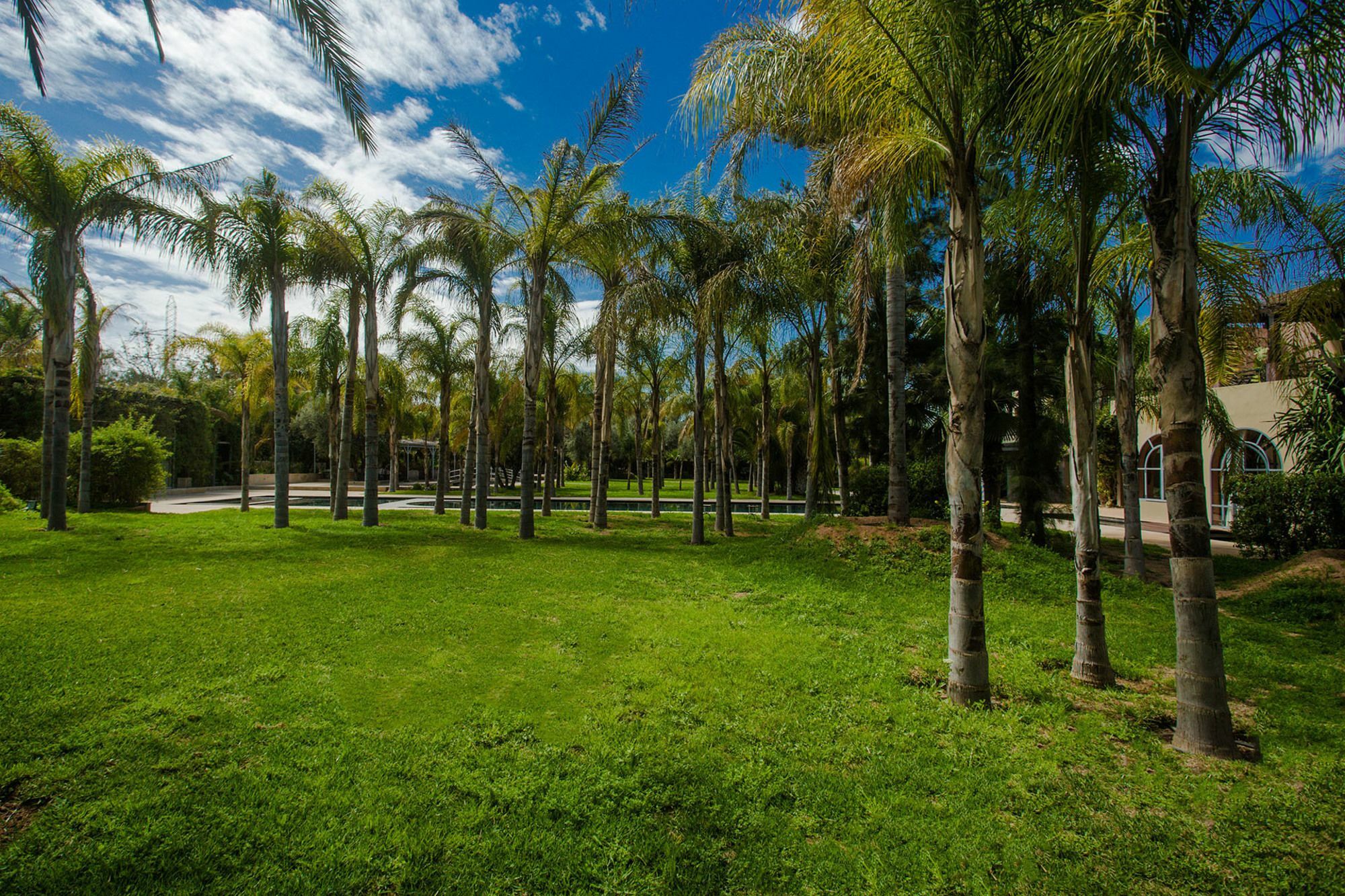Palais Mirage D'Atlas, Hotel De Luxe & Spa Ouled Jelal Eksteriør billede